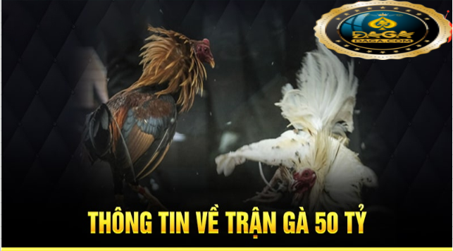 gà 50 tỷ
