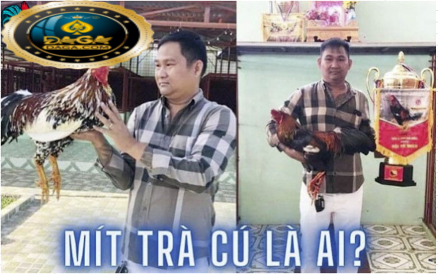trận đá gà 24 tỷ tại campuchia