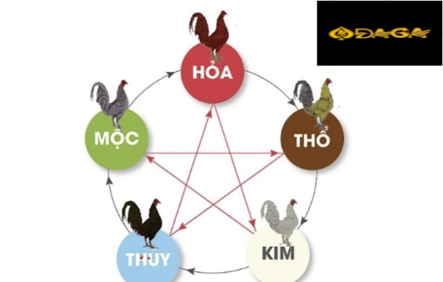 xem ngày đá gà