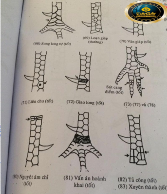 xem chân gà đá cựa sắt daga, daga1, daga2, daga3, daga4, daga5, daga6, đaga7, daga8, daga9
