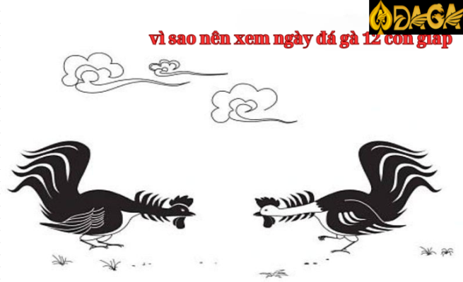 Vì sao nên xem ngày đá gà 12 con giáp?