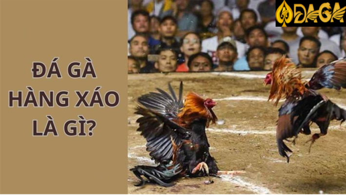 Đá gà theo kiểu hàng xáo là gì?