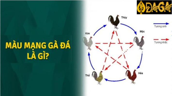 Hé lộ bí mật về màu mạng gà