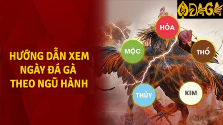 Hôm nay đá gà màu gì ngon và đúng nhất?
