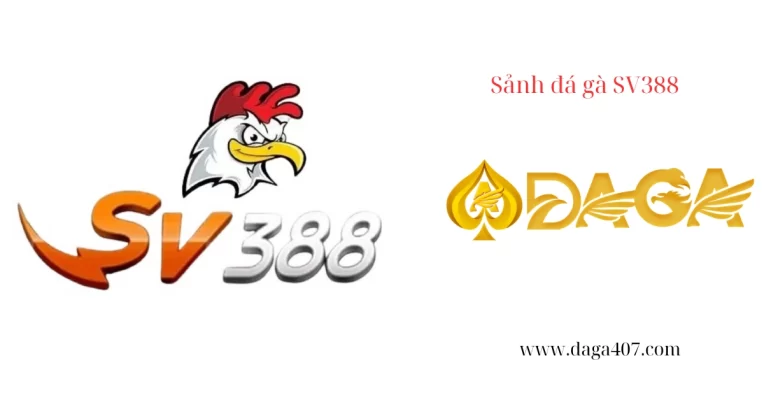Sảnh đá gà SV388: Giải trí hấp dẫn cho người chơi trực tuyến
